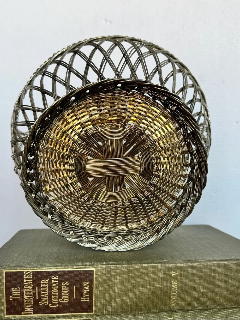 Vintage Silver Woven Wire Basket with Handle Decorative Home Accent